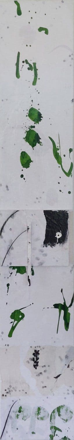 Wachse, wachse, wachse…