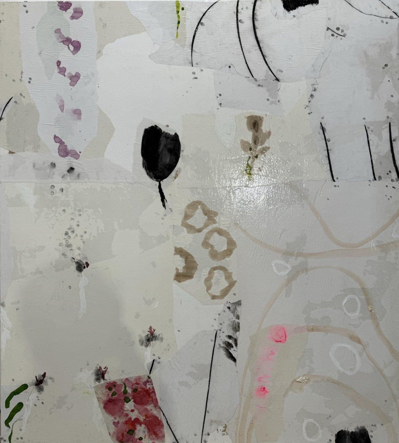 Flügelschlag über den Königinnen der Nacht (Tulpen)