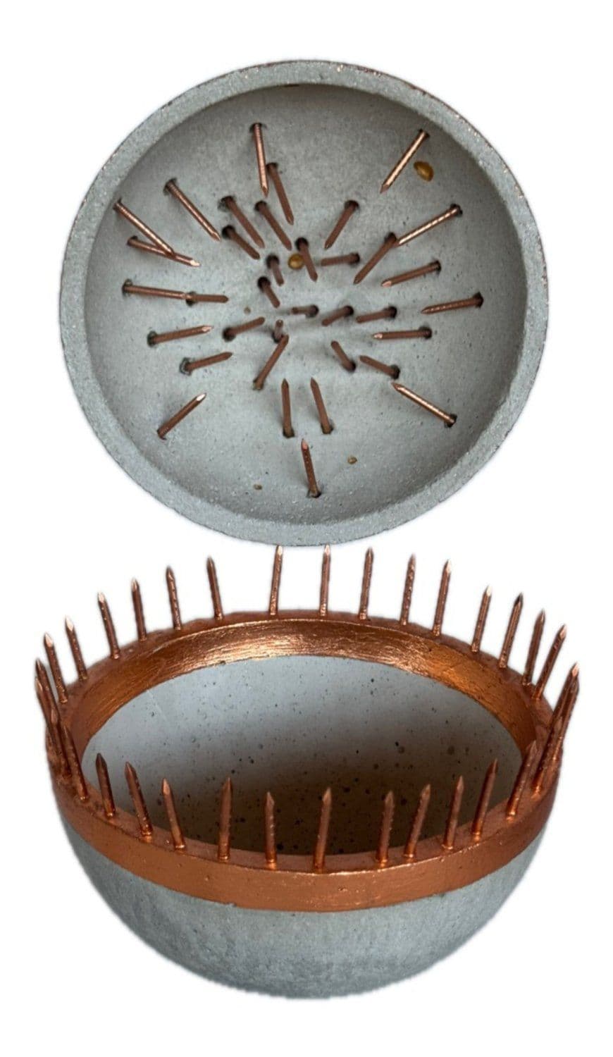 Introvert & extrovert