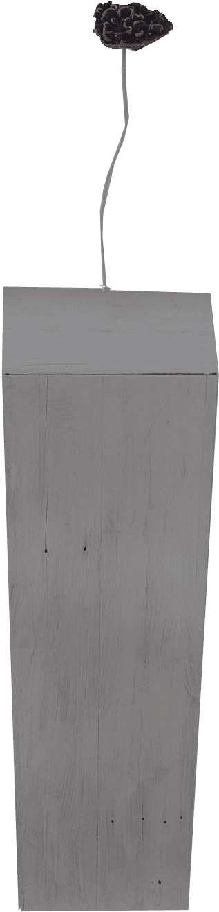 Wenn die Welt zu laut wird